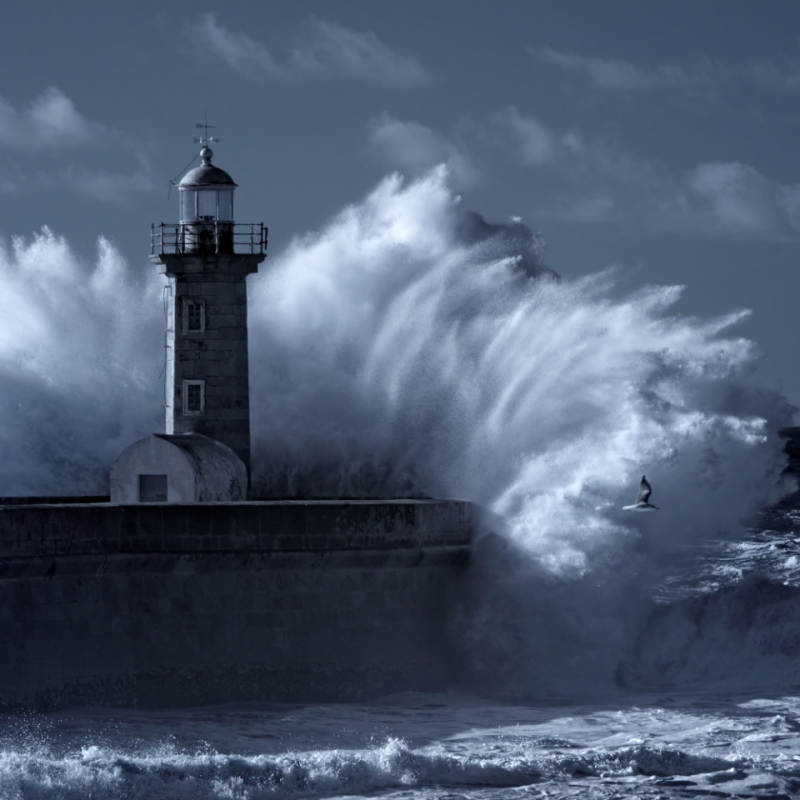 warumthepim lighthousebigwave